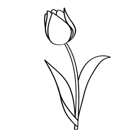 Free tulip black and white clipart free download