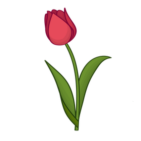 Tulip clipart