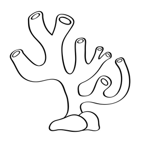 Coral black and white clipart