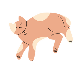 Free cat with bell clipart