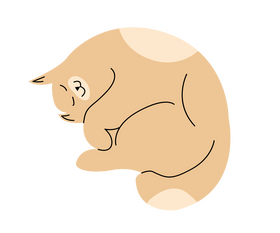 Sleeping cute cat clipart