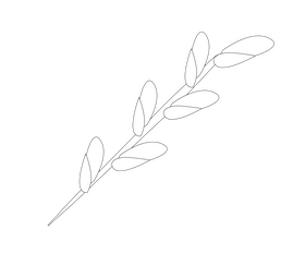 Easter willow black and white clipart