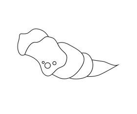 Long shell black and white clipart