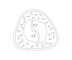 Sushi roll illustration black and white clipart