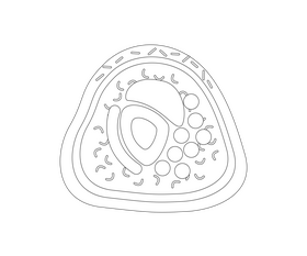 Sushi black and white clipart