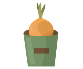 Growing onion clipart