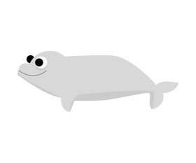 White whale drawing clipart