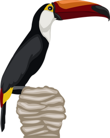 Toucan bird clipart