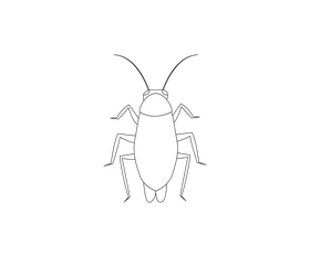 Cockroach black and white clipart