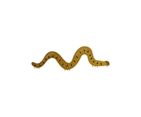 Caterpillar clipart