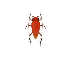 Red bug clipart