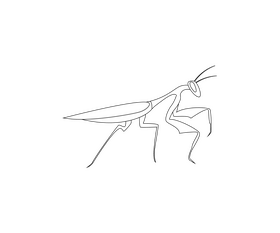 Mantis black and white clipart