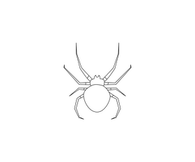 Spider black and white clipart
