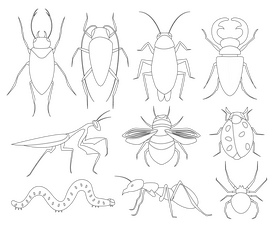 Flying insects black and white vector free download