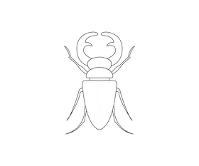 Stag beetle cartoon black and white clipart