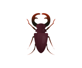 Stag beetle cartoon clipart