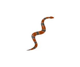 Cartoon snake clipart