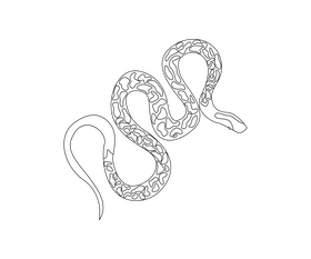 Poisonous snake black and white clipart