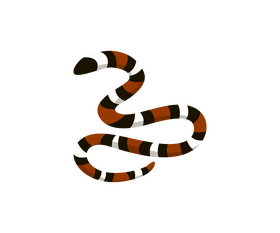 Red and black snake clipart