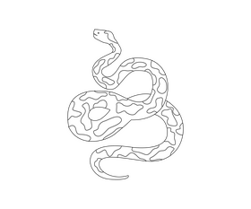 Python snake drawing black and white clipart