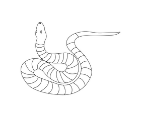 Striped snake black and white clipart