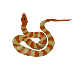 Snake vector - for free download