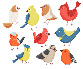 Set of birds vector