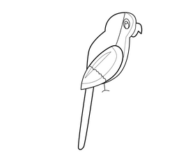 Green parrot free black and white clipart