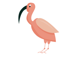 Pink pelican cartoon clipart