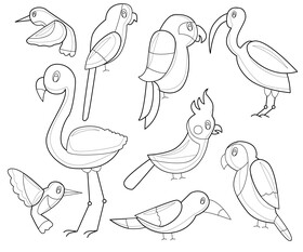 Tropical birds, exotic birds black and white vector