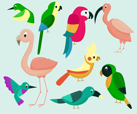 Tropical birds, exotic birds vector