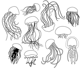 Cartoon jellyfish black and white vector