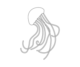 Jellyfish illustration black and white clipart