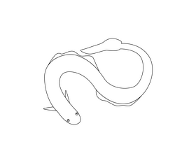 Conger sea animal black and white clipart