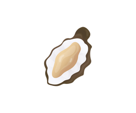 Oysters illustration clipart