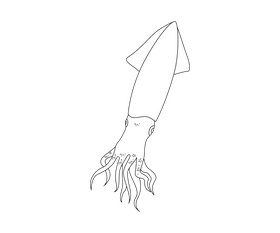 Squid food black and white clipart