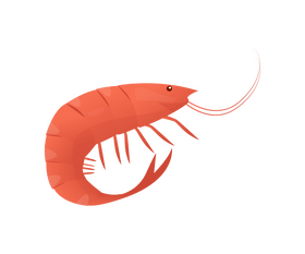 Shrimp cartoon clipart