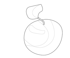 Apple illustration black and white clipart