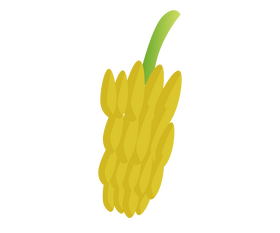 Bananas on a branch cartoon clipart