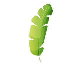 Free banana leaf clipart