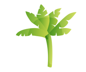 Cartoon palm tree clipart