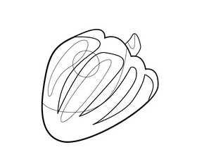 Pumpkin free black and white clipart