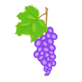 Free grape clipart