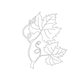 Branch of grape black and white clipart