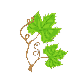 Branch of grape clipart