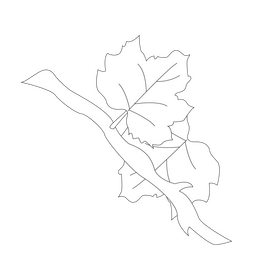 Vine branch black and white clipart