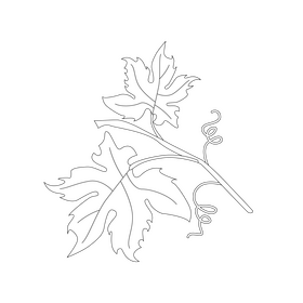 Vine branch cartoon black and white clipart