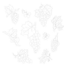 Cartoon grapes black and white vector