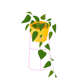 Plant in basket cartoon clipart