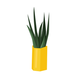 House plant in a pot clipart